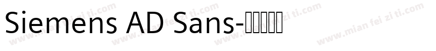 Siemens AD Sans字体转换